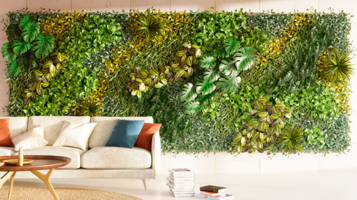 Mettre en place un mur végétal intérieur : intérêt et condition